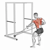 Alternating Decline Rowing with Bands