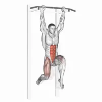 Elevaciones de piernas alternas colgado