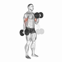 Alternating Twist Dumbbell Curl