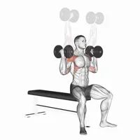 Arnold Press Open with Dumbbells