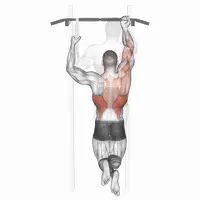 Assisted one handed pull up
