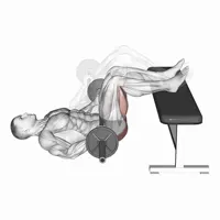 Barbell Decline Hip Thrust