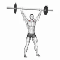 Barbell Military Press Shrugs