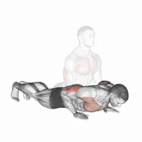 Flexiones básicas