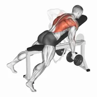 Bent Over Dumbbell Row (Supinated Grip)