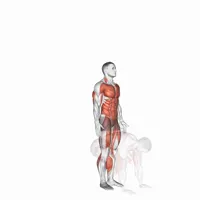 Burpee