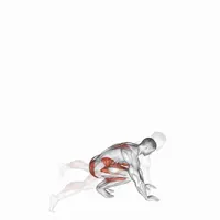 Burpee jack