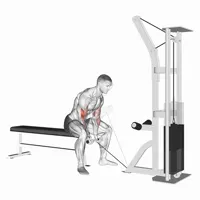 Close Concentration Curl on Low Pulley