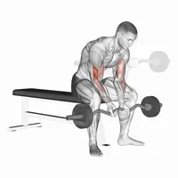 Close Concentration Curl with Z Bar