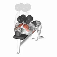 Close Neutral Grip Dumbbell Press