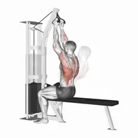 Close Neutral Pulldown with Incline on High Pulley