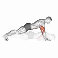 Flexiones cerradas
