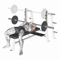 Close Supination Barbell Press