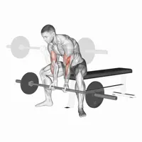 Closed Concentrated Curl with Barbell