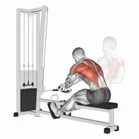 Closed Pronated Horizontal Row on Pulley