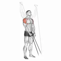 Complete Lifts with Belts
