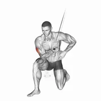 Concentrated Extension on High Pulley
