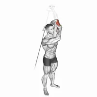 Concentrated Extension on Low Pulley