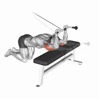 Concentrated Extensions on High Pulley