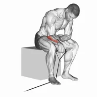 Concentrated Pronation Curl with Band