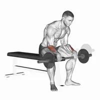Concentrated Pronation Curl with Barbell