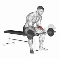 Concentrated Supination Curl with Barbell