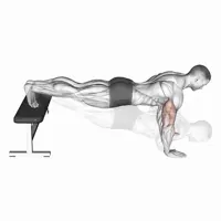 Flexiones declinadas