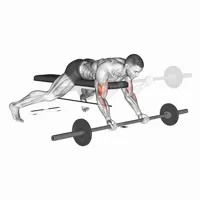 Downward Supinated Curl with Barbell