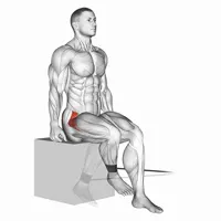 External Hip Rotation with Band