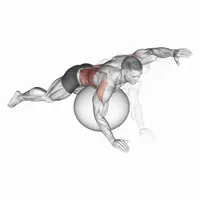 Fitball stroke