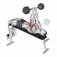 French Press Decline with Barbell