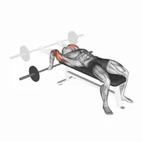 French Press behind the neck with Barbell
