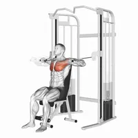 Front Press with Pulleys