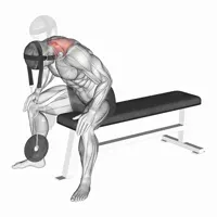 Frontal Extension with Harness