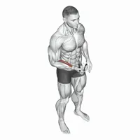 Hand Grip