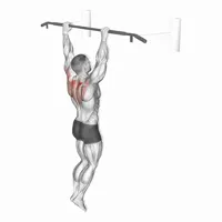 Hanging Scapular Retraction