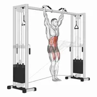 Hanging leg raise with pulley
