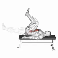 Elevación de cadera con rodillas flexionadas v1