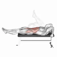 Elevación de cadera con rodillas flexionadas v2