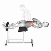 Horizontal Crunch on a Roman Chair