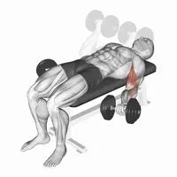 Horizontal Dumbbell Curl in Supination