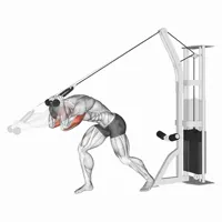 Horizontal Extension on High Pulley Hammer