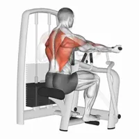 Horizontal Supination Row on Machine