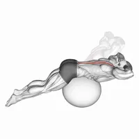 Hiperextensiones lumbares on a Fitball
