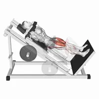 Incline Close Squat on Machine