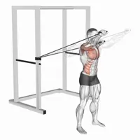 Incline Front Press with Bands