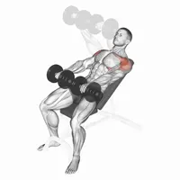 Incline Front Raises with Pronated Grip and Dumbbells