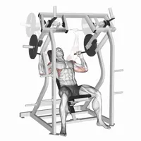 Incline Pronated Military Press on Machine