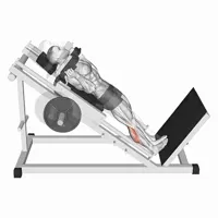 Inclined Twin Extension Machine