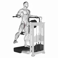 Internal Adductor Isolated in Machine